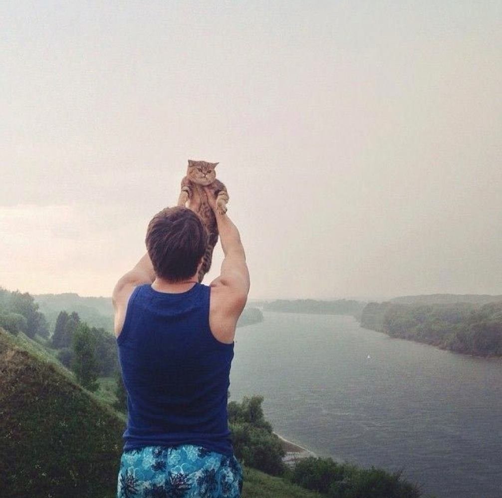 Cats That Enjoy Outdoor Adventures (Photos)