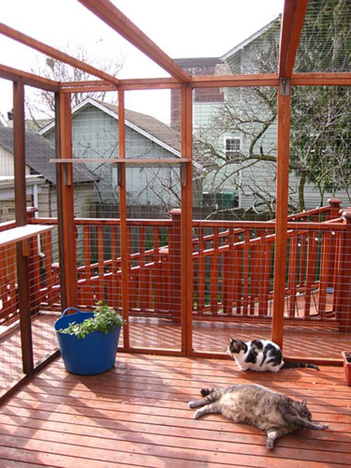 How to Build a Catio