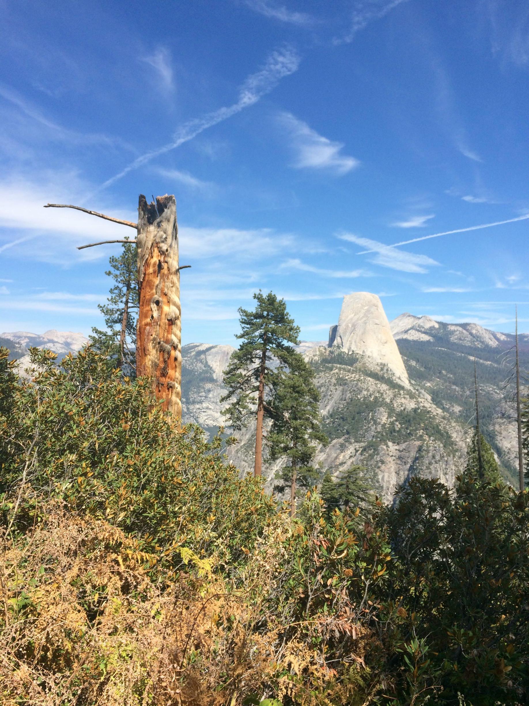 This Guy Chose Yosemite Instead of Going to Vegas with his Friends