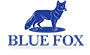 Blue Fox