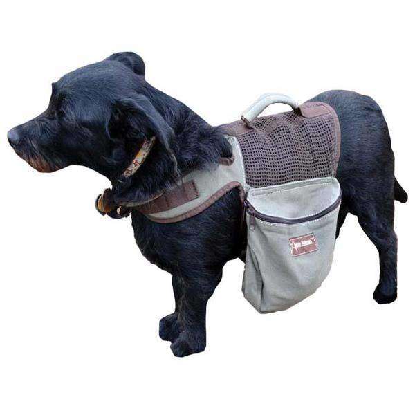 Aussie Naturals Dog Boots Large Super Tough Water Resistant Leather Soled OutdoorShopping at OutdoorShopping