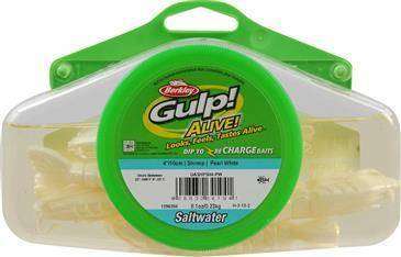 berkley gulp saltwater