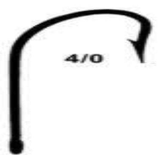 Zv 0694 1022 X 740 159 Kb Jpeg Honda Rancher 350 Wiring Diagram