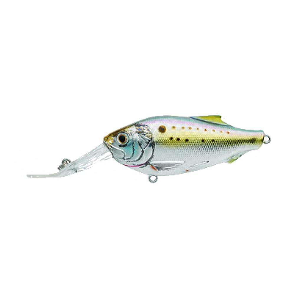 Live Target Natural/Metallic Menhaden 51/4 Ideal Bait While Trolling
