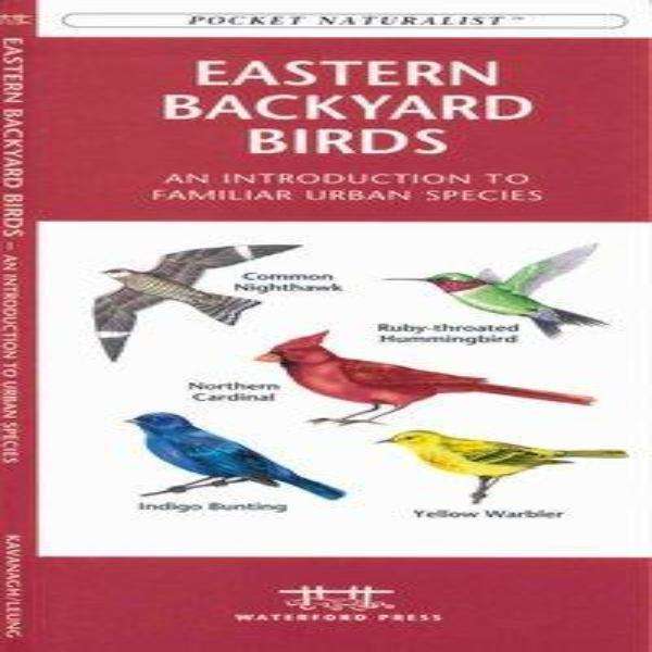 Pocket Naturalist Backyard Birds NA An Introduction To Familiar
