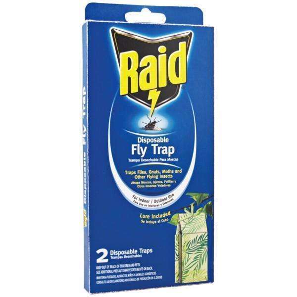 fly traps for gnats