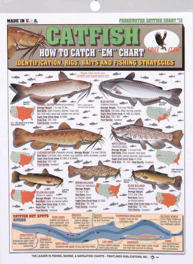 Tightline Publications Catfish How To Catch #13 - Laminated 100% Waterproof