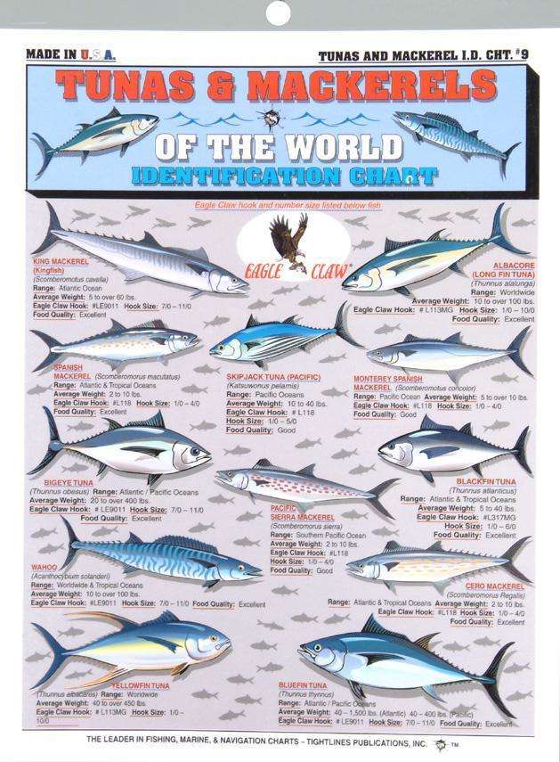 Tuna Species Chart