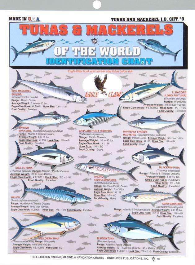 Tightline Publications How To CatchEm Freshwater Chart #4 - Detailed Info